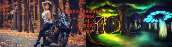 mdpv Горнозаводск