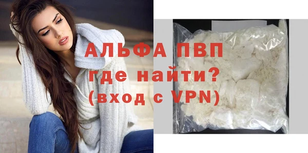 ГАЛЛЮЦИНОГЕННЫЕ ГРИБЫ Горно-Алтайск
