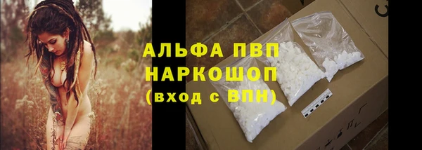 спиды Горняк