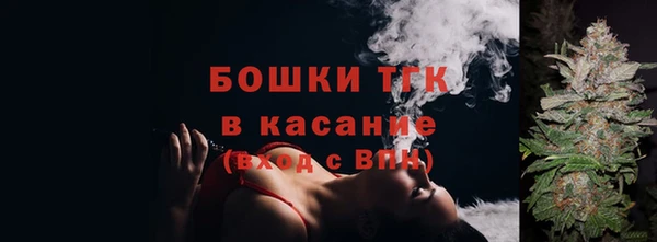 спиды Горняк