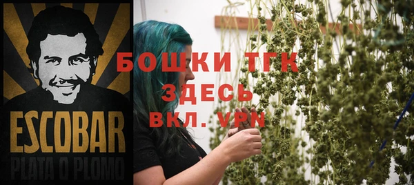 mdpv Горнозаводск