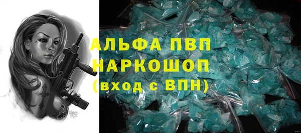 спиды Горняк