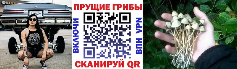 Псилоцибиновые грибы мухоморы  Заринск 